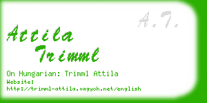 attila trimml business card